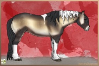 Horse Color:Brown Onyx Tobiano 
