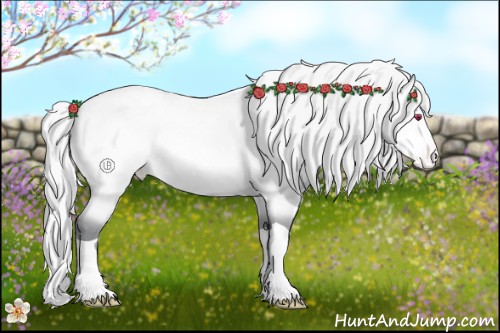 Horse Color:Silver Amber Champagne Chinchilla Tobiano Varnish Rabicano