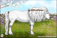 Horse Color:Silver Amber Champagne Chinchilla Tobiano Varnish Rabicano