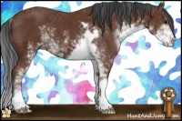 Horse Color:Bay Sabino 