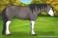 Horse Color:Grullo Sabino Splash  and Grullo Sabino Splash 