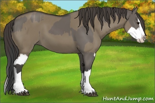 Horse Color:Smoky Grullo Sabino Splash and Smoky Grullo Sabino Splash