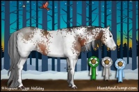Horse Color:White Spotted Brown Sabino Rabicano