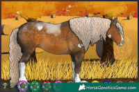 Horse Color:White Spotted Chocolate Palomino Mushroom Splash Tobiano 