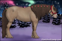 Horse Color:Classic Champagne Roan