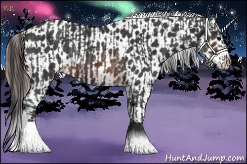 Horse Color:Brown Rabicano  and Brown Appaloosa Rabicano 