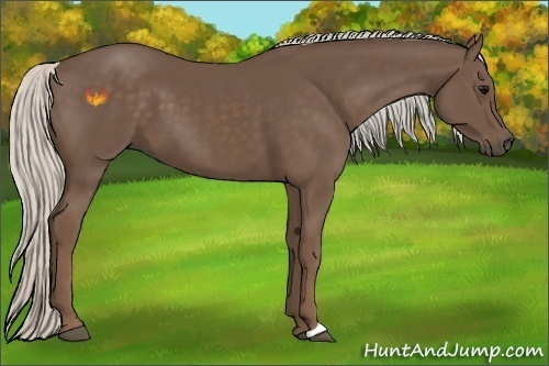 Horse Color:Silver Black