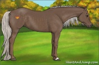Horse Color:Silver Black 