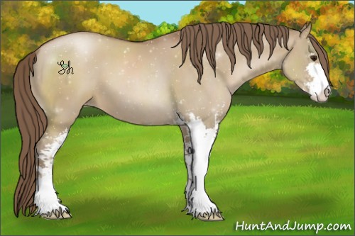 Horse Color:Grullo Pearl Sabino