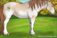Horse Color:White Spotted Buckskin Pearl 