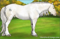 Horse Color:White Spotted Silver Grullo Pearl