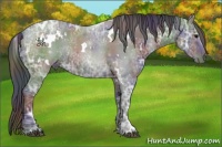 Horse Color:Nacre White Spotted Black Ice Sabino