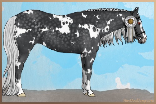 Horse Color:White Spotted Silver Black Chinchilla Sabino 