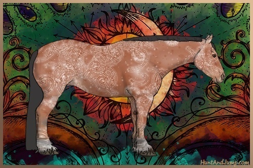 Horse Color:Bay Ice 