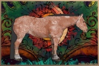 Horse Color:Bay Ice 