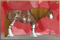 Horse Color:Painted White Spotted Chestnut 