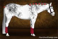 Horse Color:White Spotted Black Ice Sabino Splash 