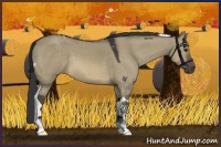 Horse Color:Buckskin Dun Tobiano