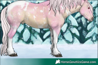 Horse Color:Watercolor White Spotted Silver Brown Chinchilla Tobiano 