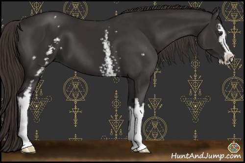 Horse Color:White Spotted Liver Chestnut Sabino 