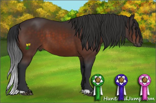 Horse Color:Brown 