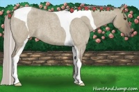 Horse Color:Silver Smoky Grullo Roan Tobiano 