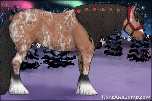Horse Color:Bay Ice 