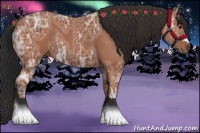 Horse Color:Bay Ice 