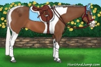 Horse Color:Silver Bay Splash Tobiano