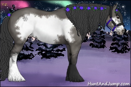 Horse Color:Grullo Frame 