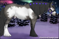 Horse Color:Grullo Frame