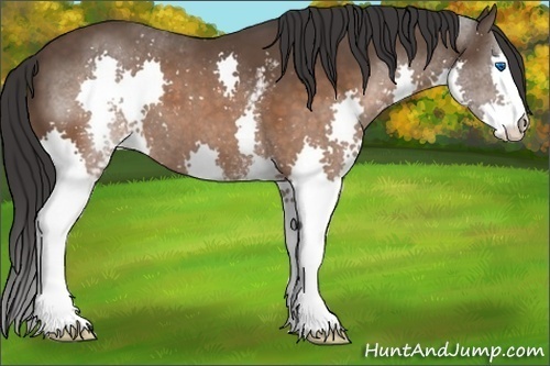 Horse Color:White Spotted Brown Splash Varnish
