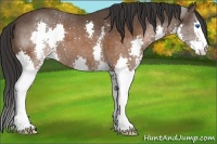Horse Color:White Spotted Brown Splash Varnish 