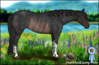 Horse Color:Brown Rabicano  and Gray Brown Rabicano 