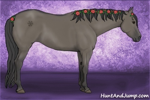 Horse Color:Smoky Grullo 