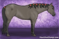 Horse Color:Smoky Grullo 