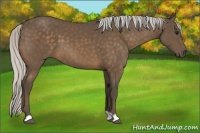 Horse Color:Silver Buckskin 