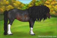 Horse Color:Brown Rabicano  and Gray Brown Rabicano 