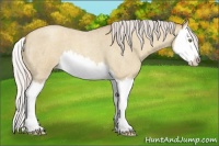 Horse Color:Silver Classic Champagne Roan Dun Splash 