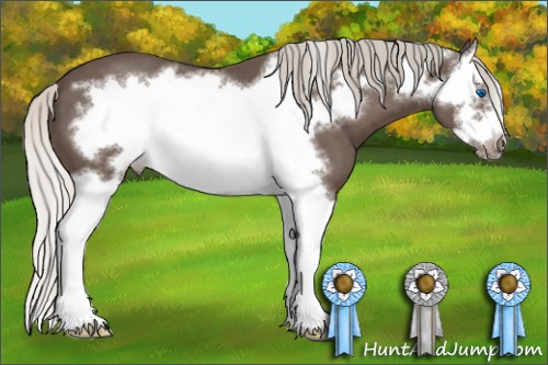 Horse Color:Silver Blue Roan Splash Frame 
