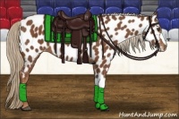 Horse Color:Chestnut Appaloosa