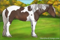 Horse Color:Silver Brown Tobiano 
