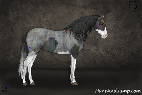 Horse Color:Midnight Liver Chestnut Ice  and Midnight Blue Ice Roan Splash 