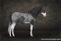 Horse Color:Midnight Liver Chestnut Ice and Midnight Blue Ice Roan Splash