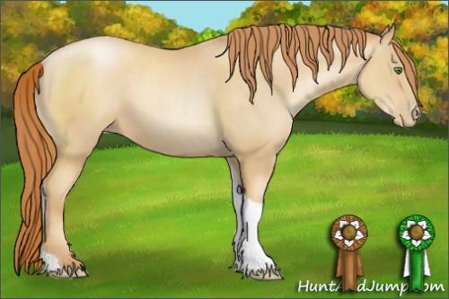 Horse Color:Classic Champagne Pearl Sabino Tobiano Rabicano 