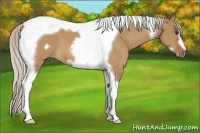 Horse Color:Silver Bay Dun Tobiano Frame 