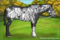 Horse Color:Black  and Black Frame 