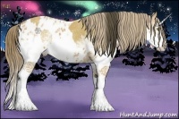 Horse Color:White Spotted Buckskin Splash  and White Spotted Buckskin Splash Blanket 