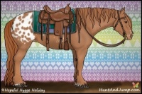 Horse Color:Chestnut Sabino Appaloosa 