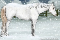 Horse Color:Chestnut Sabino  and Chestnut Sabino Splash 